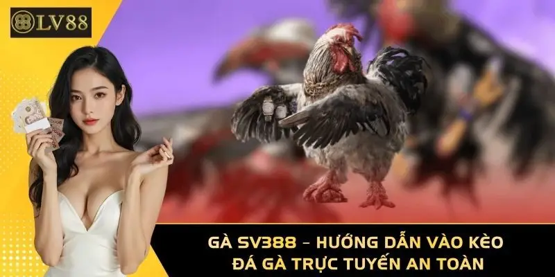 Gà SV388 – Hướng Dẫn Vào Kèo Đá Gà Trực Tuyến An Toàn